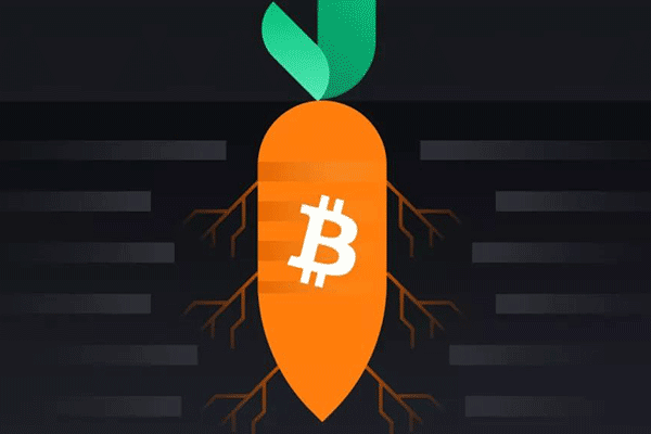 英伟达锁定Anthropic首批用户 AI数据中心布局再扩张
